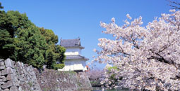 震后游日本